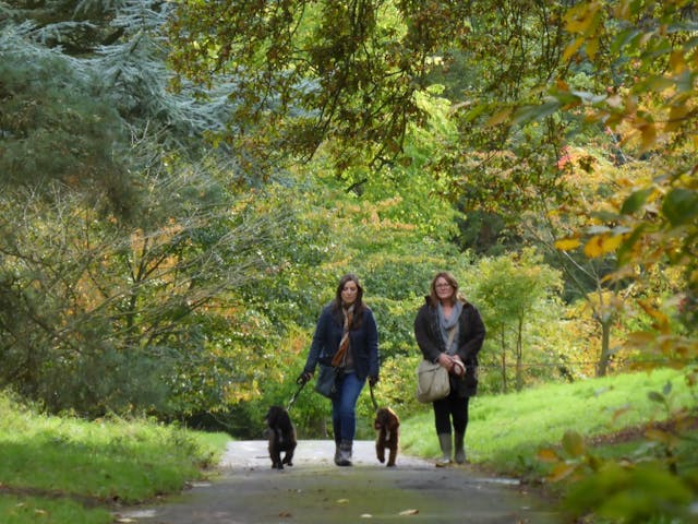 Batsford Arboretum