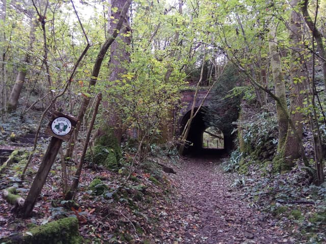 Chedworth Roman Villa Walk