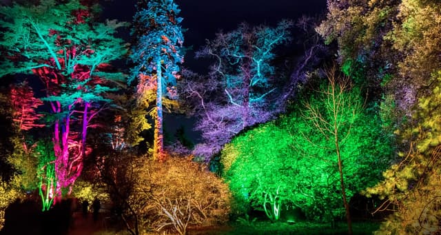 A touch of Christmas magic: festive events in and around Cirencester for all the family